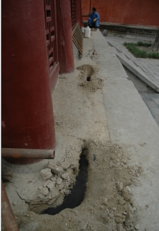 喀什古建筑白蟻巢穴
